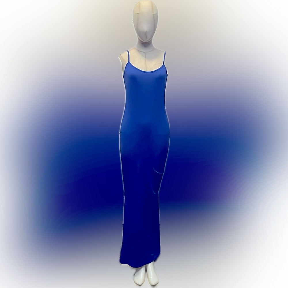 NWOT Bodycon long dress